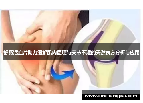 舒筋活血片助力缓解肌肉僵硬与关节不适的天然良方分析与应用