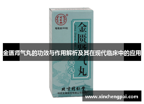 金匮肾气丸的功效与作用解析及其在现代临床中的应用