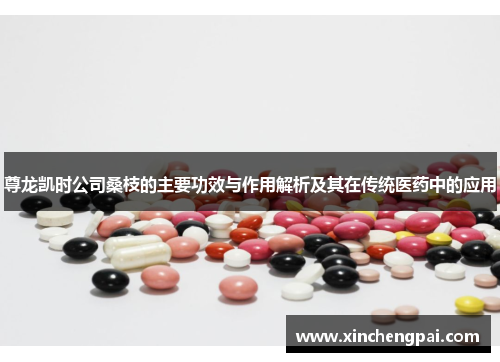 尊龙凯时公司桑枝的主要功效与作用解析及其在传统医药中的应用