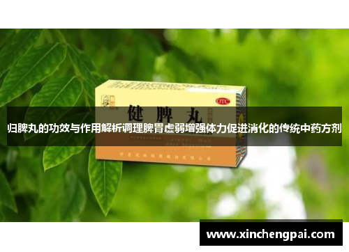 归脾丸的功效与作用解析调理脾胃虚弱增强体力促进消化的传统中药方剂